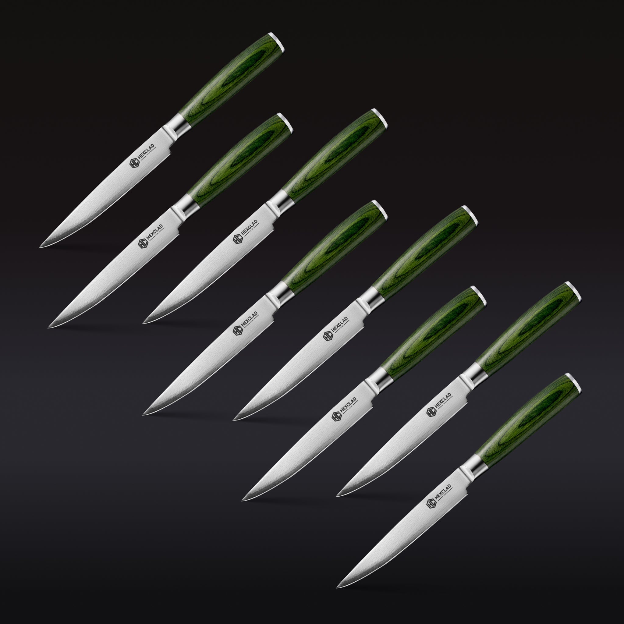Steak Knife & Bistecca Plate Set, 16-pc (Green)